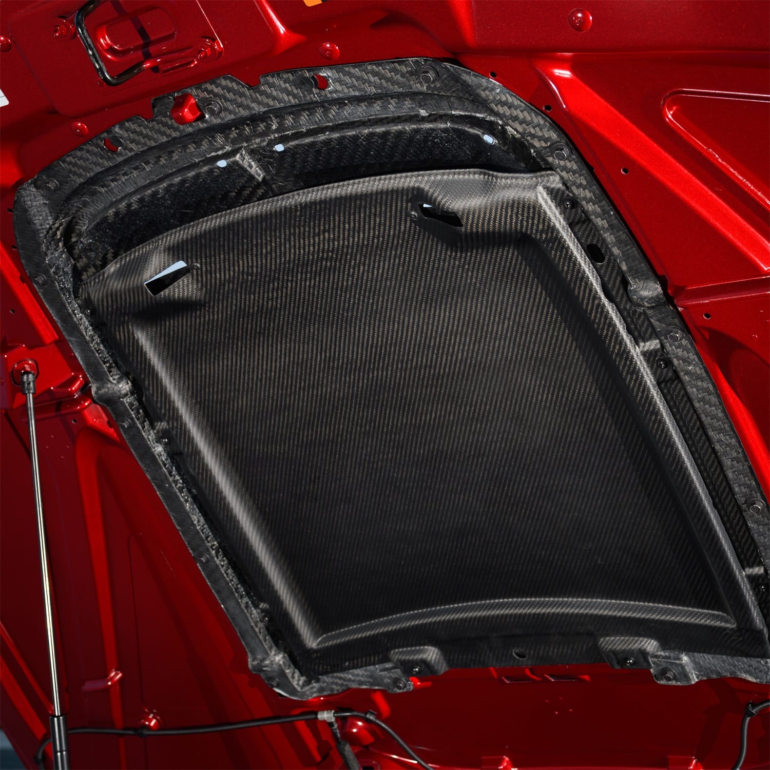 Ford Performance Ford Performance M-16612-C20 Hood Vent