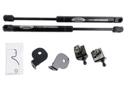 Ford Performance M-16826-MA - Hood Lift Support Assembly