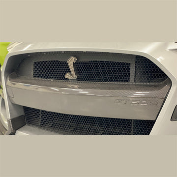 Ford Performance Ford Performance M-17750-MCF Bumper Insert