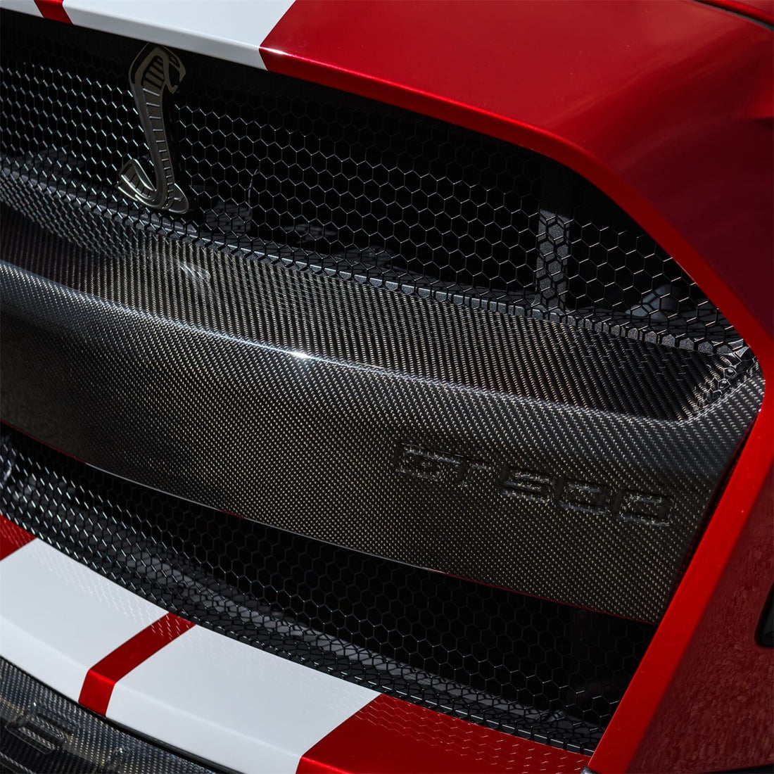 Ford Performance Ford Performance M-17750-MCF Bumper Insert