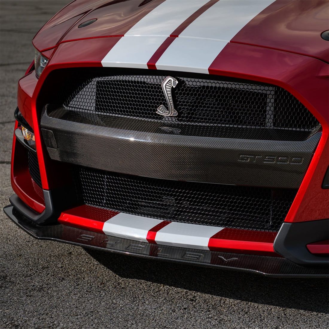 Ford Performance Ford Performance M-17750-MCF Bumper Insert