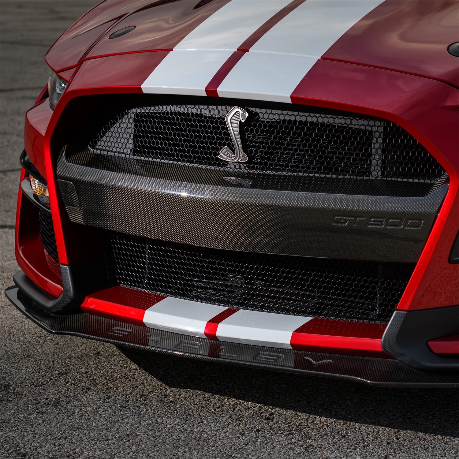 Ford Performance Ford Performance M-17750-MCF Bumper Insert