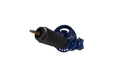 Ford Performance M-18001-AG - Suspension Strut Assembly