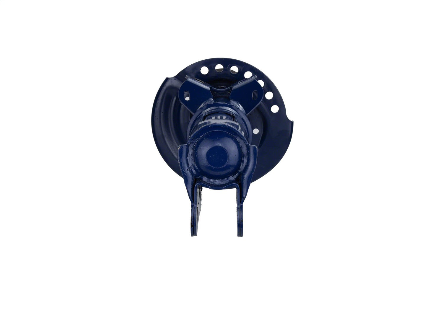 Ford Performance M-18001-AG - Suspension Strut Assembly