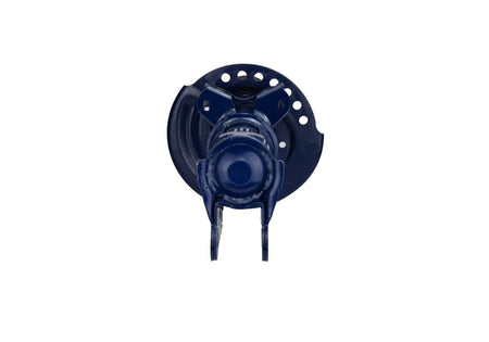 Ford Performance M-18001-AG - Suspension Strut Assembly