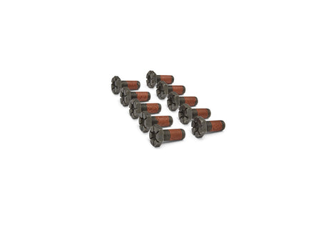 Ford Performance FPPM-4216-A210