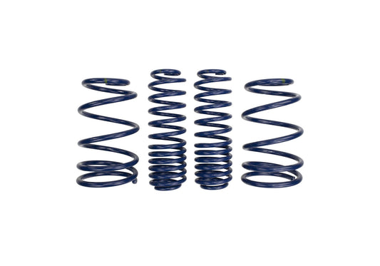 Ford Performance - 2007-2014 Mustang Shelby GT500 Springs - M-5300-L