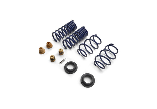 Ford Performance M-5300-S65S Coil Spring Lowering Kit