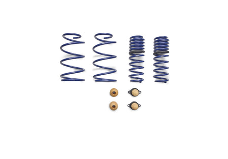 Ford Performance FPPM-5300-T