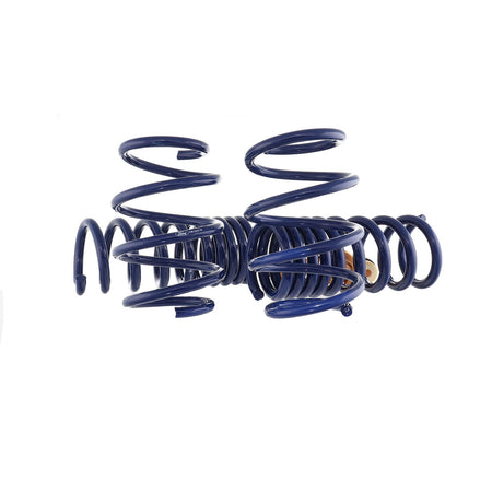 Ford Performance FPPM-5300-YA
