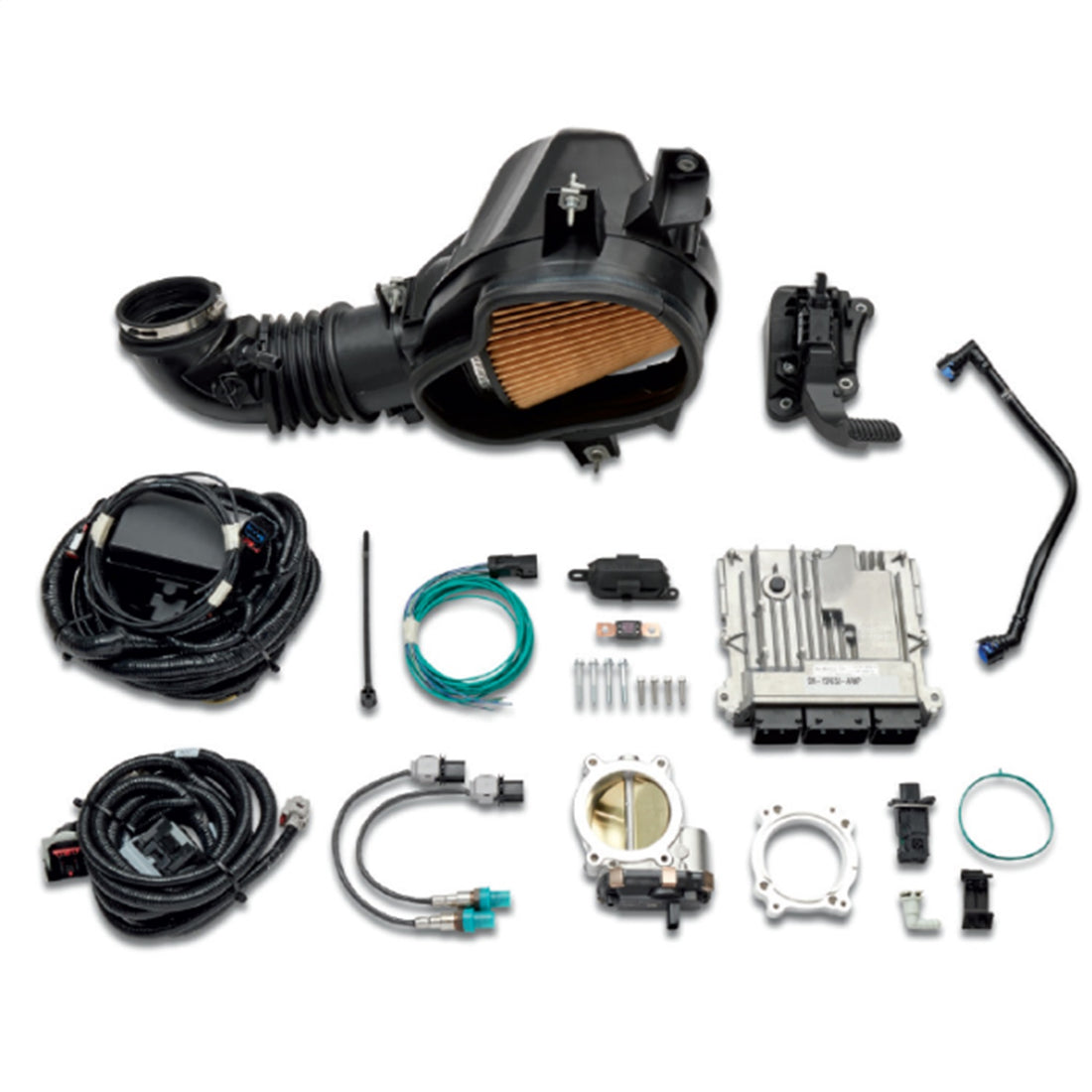 Ford Performance Ford Performance M-6017-73A10R80 Automatic Transmission Control Module