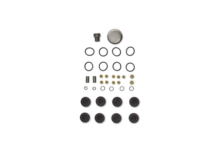 Ford Performance M-6026-BOSS - Engine Core Plug Set