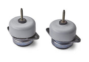 Ford Performance Ford Performance M-6038-M50 Engine Mount Bracket