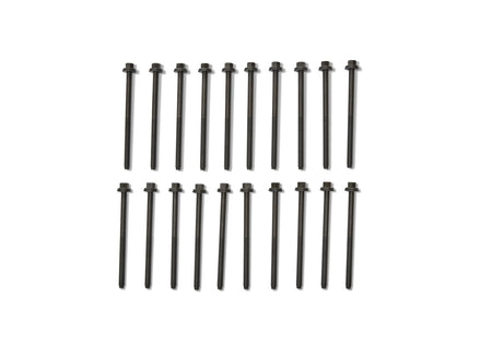 Ford Performance M-6067-M501280 - Engine Cylinder Head Bolt Set