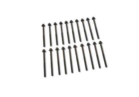 Ford Performance M-6067-M501280 - Engine Cylinder Head Bolt Set