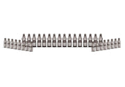 Ford Performance Ford Performance M-6500-GT Engine Valve Lifter Kit