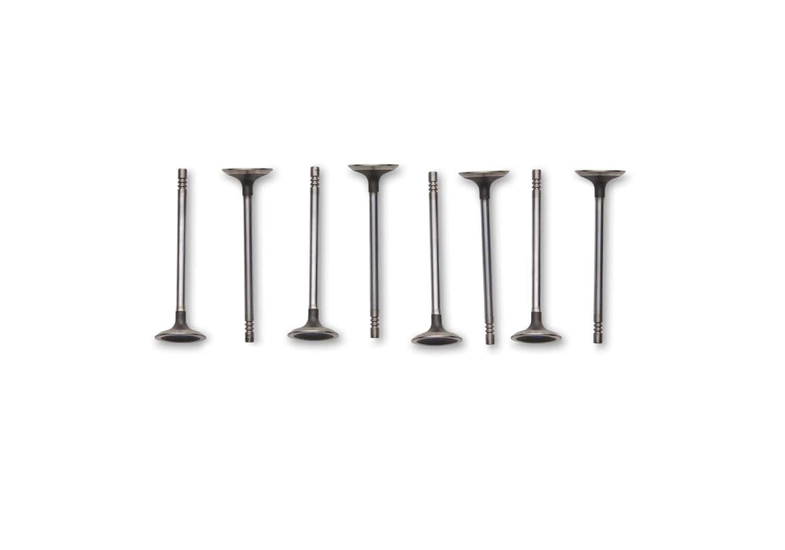 Ford Performance Ford Performance M-6505-M52 Engine Exhaust Valve