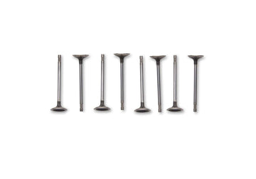 Ford Performance Ford Performance M-6505-M52 Engine Exhaust Valve