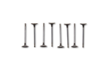 Ford Performance M-6505-M52 - Engine Exhaust Valve