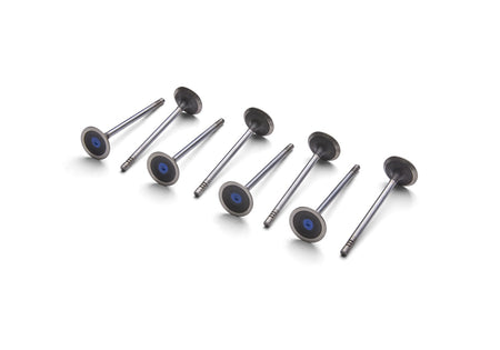 Ford Performance M-6505-M52 - Engine Exhaust Valve