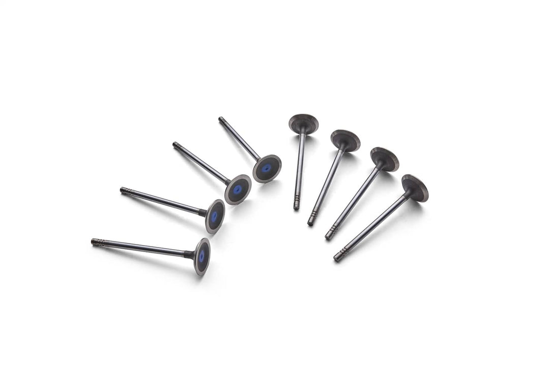 Ford Performance Ford Performance M-6505-M52 Engine Exhaust Valve