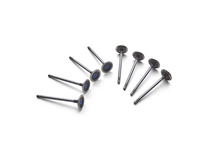 Ford Performance M-6505-M52 - Engine Exhaust Valve