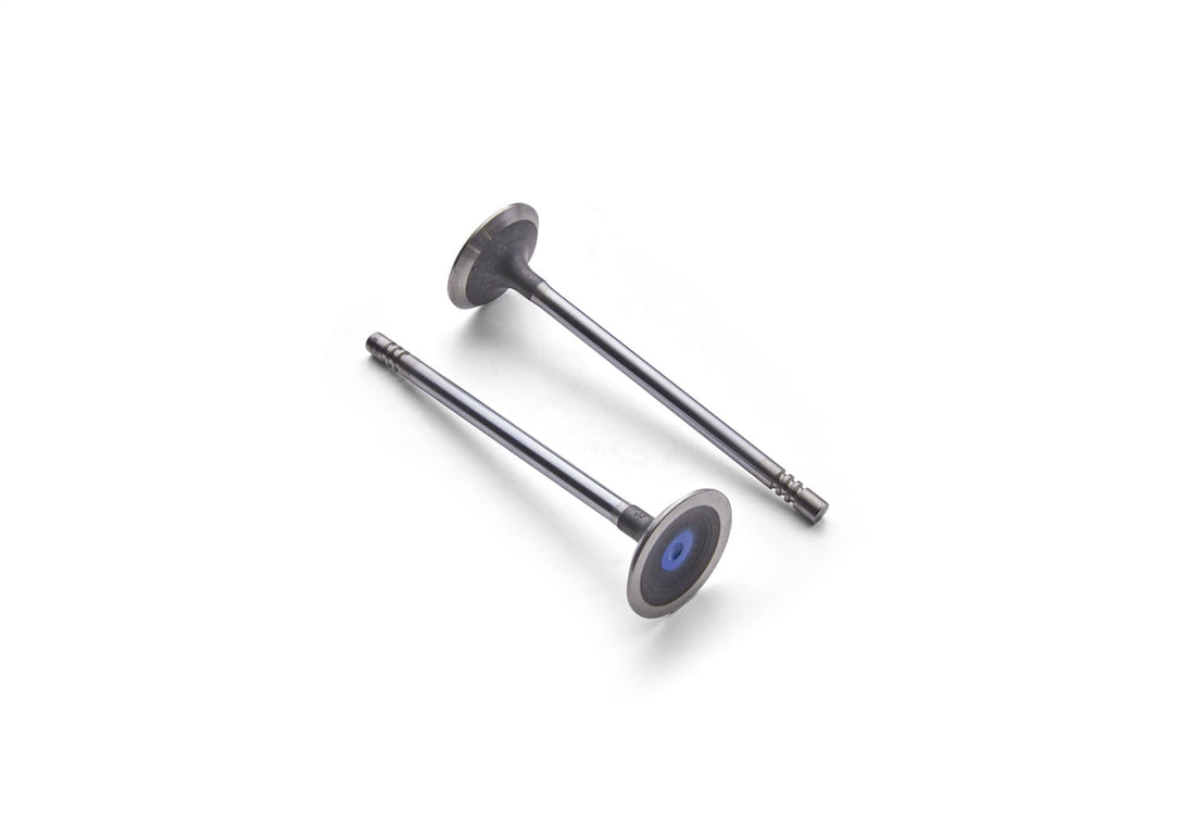 Ford Performance Ford Performance M-6505-M52 Engine Exhaust Valve