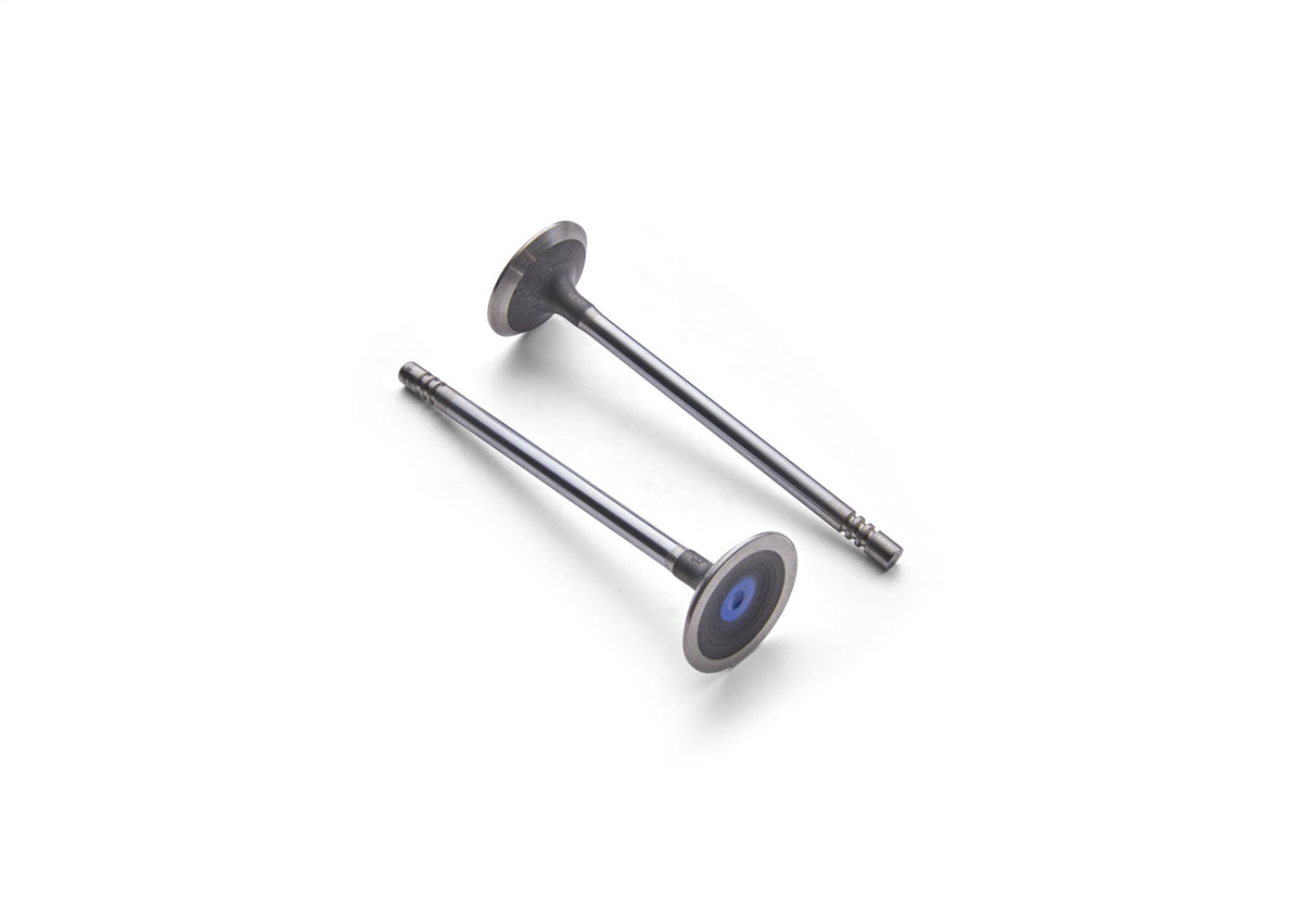 Ford Performance M-6505-M52 - Engine Exhaust Valve