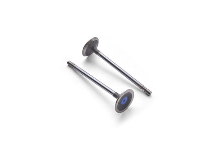 Ford Performance M-6505-M52 - Engine Exhaust Valve