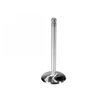 Ford Performance Ford Performance M-6507-A304 Engine Intake Valve