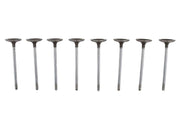 Ford Performance Ford Performance M-6507-M52 Engine Intake Valve
