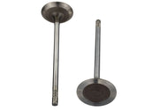 Ford Performance Ford Performance M-6507-M52 Engine Intake Valve