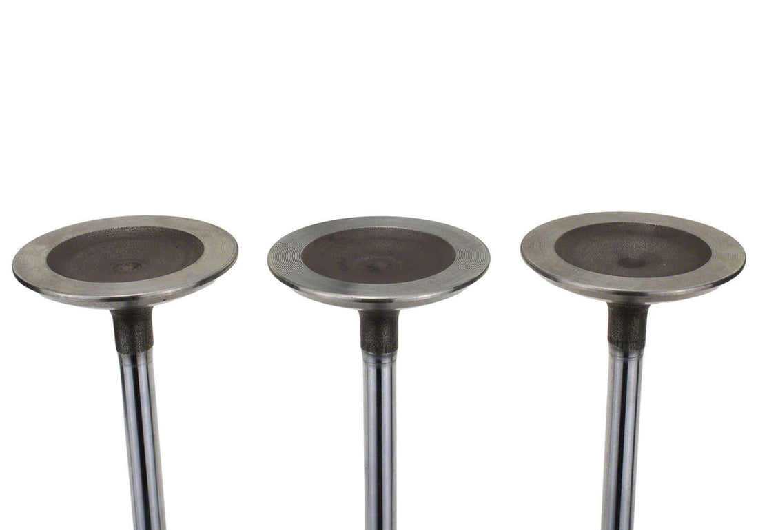 Ford Performance Ford Performance M-6507-M52 Engine Intake Valve