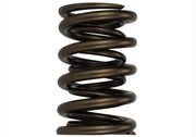 Ford Performance Ford Performance M-6513-17341 Engine Valve Spring