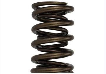 Ford Performance Ford Performance M-6513-17341 Engine Valve Spring