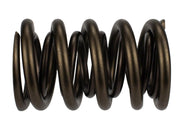 Ford Performance Ford Performance M-6513-17341 Engine Valve Spring