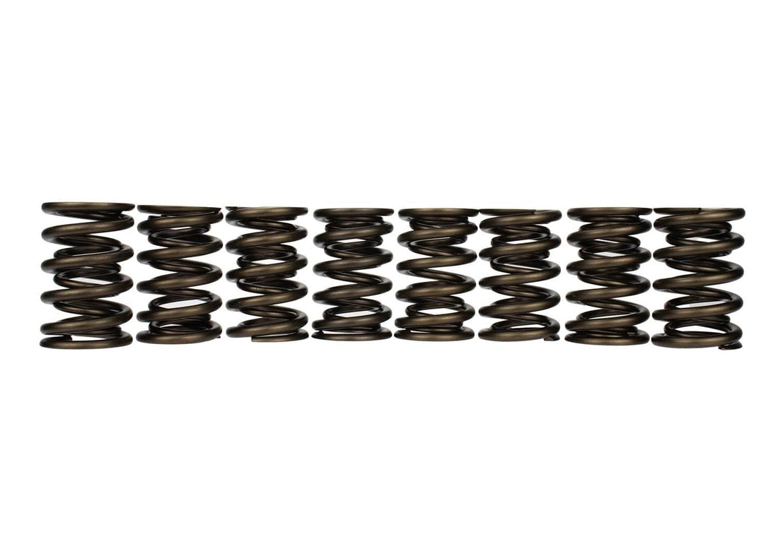 Ford Performance Ford Performance M-6513-17348 Engine Valve Spring