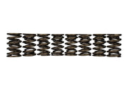 Ford Performance Ford Performance M-6513-17348 Engine Valve Spring