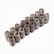 Ford Performance Ford Performance M-6513-M50BR Engine Valve Spring Kit