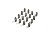 Ford Performance Ford Performance M-6513-M50BR Engine Valve Spring Kit