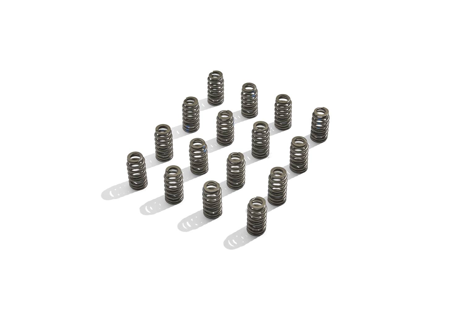 Ford Performance Ford Performance M-6513-M50BR Engine Valve Spring Kit
