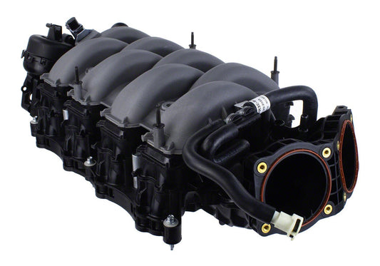Ford Performance - 2024-2025 Mustang 5.0L Dual Throttle Body Intake Manifold - M-9424-M50D