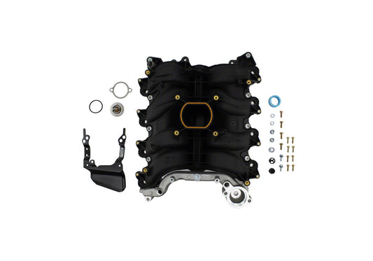 Ford Performance - 4.6L 2V Performance Improvement Intake Manifold - M-9424-P46A