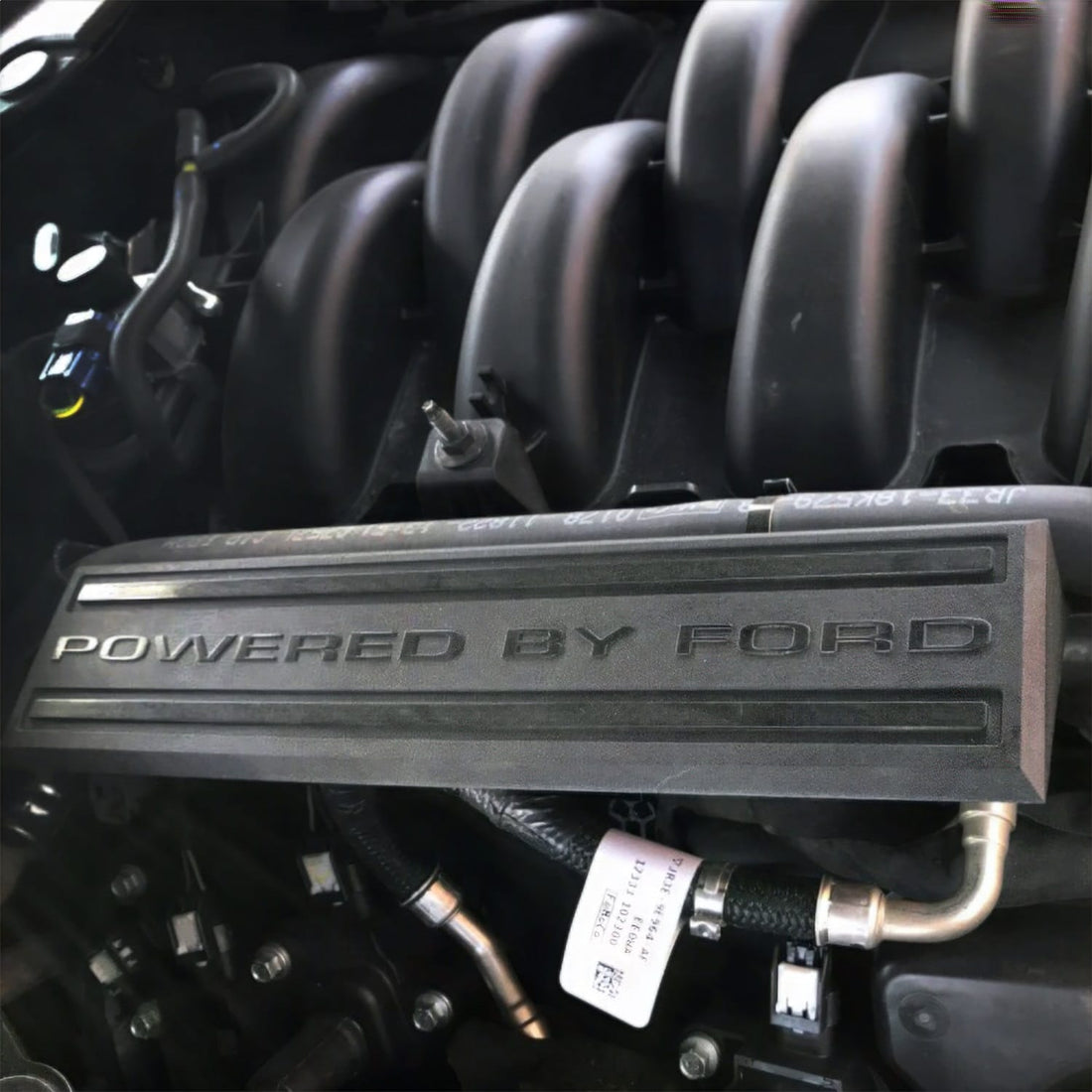 Ford Performance Ford Performance M-9680-M50BA Engine Dress Up Kit
