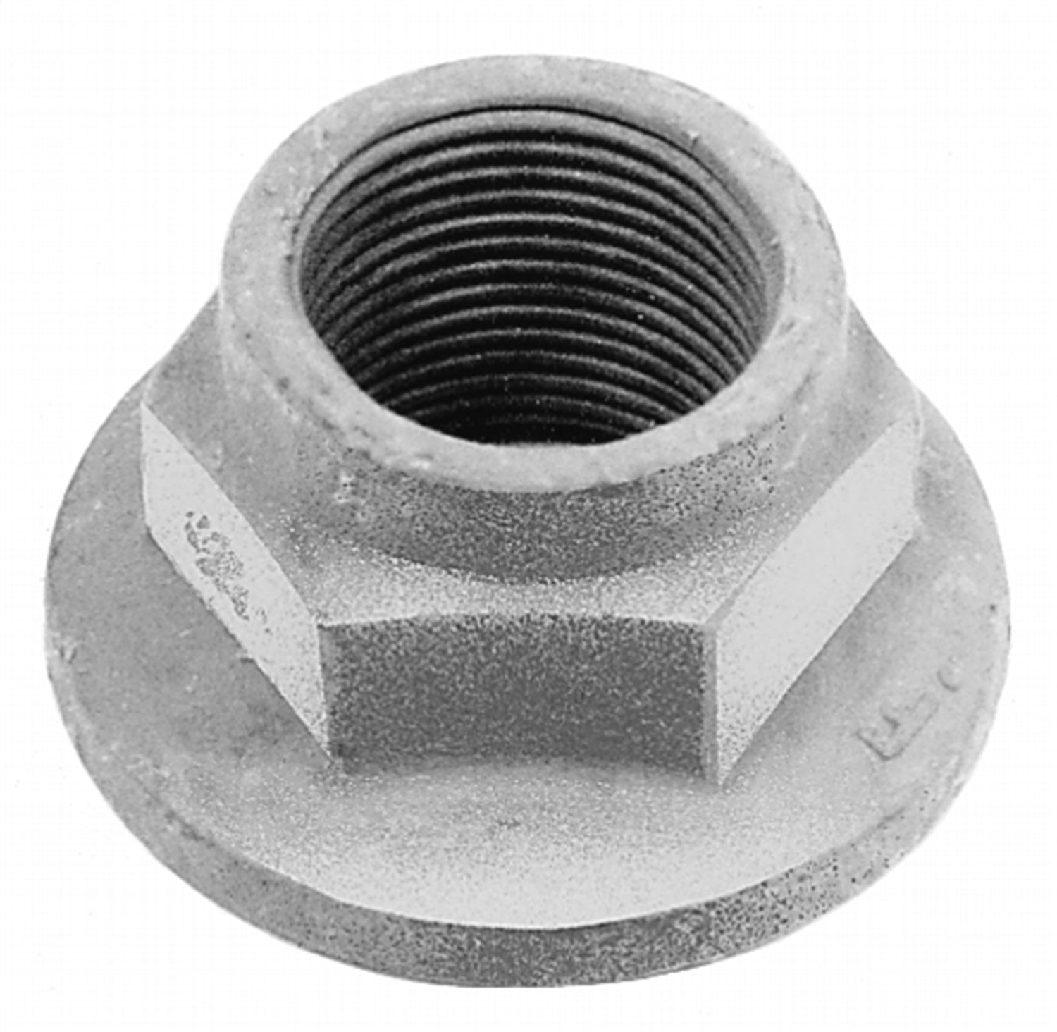 Ford Performance M-4213-A - Differential Drive Pinion Nut