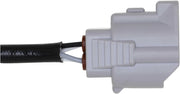 NTK 23058 2017-2020 Fiat 124 Spider Oxygen Sensor