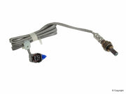 NTK 24444 2006-2008 Mazda 6 Oxygen Sensor