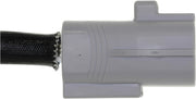 NTK 25620 1997-1999 Jaguar XK8 Oxygen Sensor