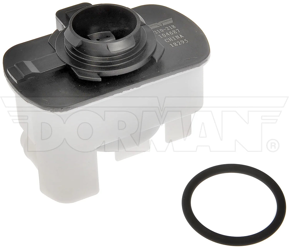 Dorman 310-218 2009-2019 Dodge Journey Evaporative Emissions System Leak Detection Pump