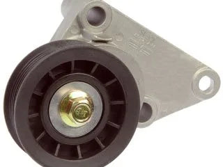 Dorman 419-112 2003-2020 Chevrolet Express 2500 Accessory Drive Belt Tensioner Assembly